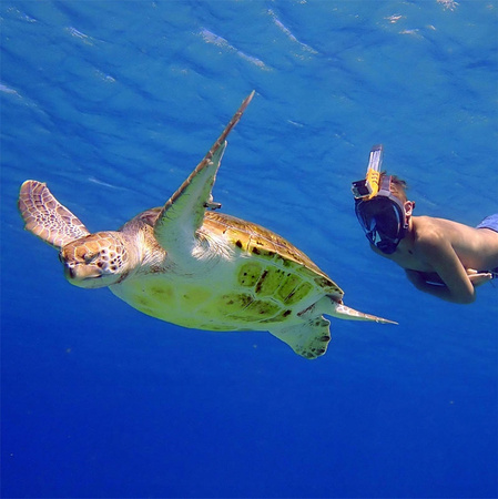 OCEAN REEF MASKA PEŁNOTWARZOWA ARIA QR+ GoPro biała ML 