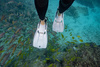 TUSA PŁETWY nurkowanie snorkeling SF0110 TRAVEL S