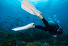 TUSA PŁETWY nurkowanie snorkeling SF0110 TRAVEL XL