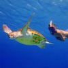 OCEAN REEF MASKA PEŁNOTWARZOWA ARIA QR+ GoPro niebieska LXL